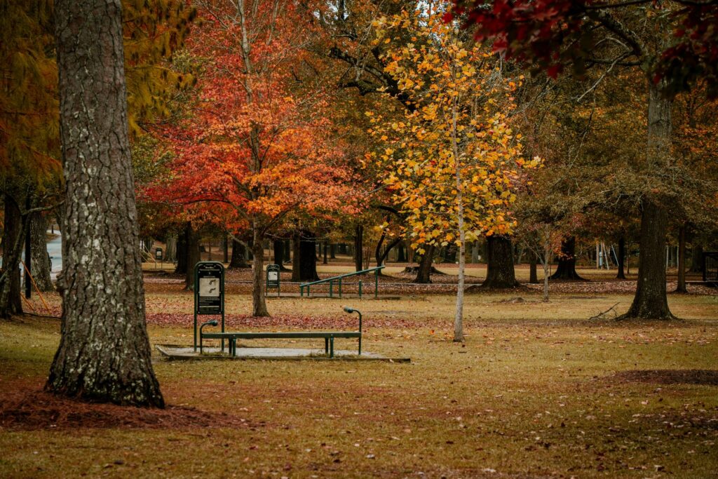 A serene autumn park scene in Columbus, GA, showcasing outdoor fitness equipment surrounded by vibrant fall foliage, reflecting the active lifestyle opportunities available in senior living communities.